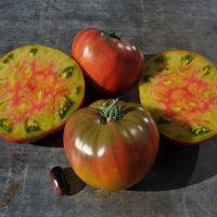 Tomate ananas noire