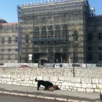A l'image d'un pays qui panse encore ses plaies, la grande bibliothèque de Sarajevo, détruite pendant la guerre, n'a pas encore été reconstruite