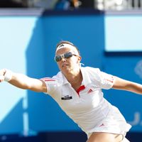 Flipkens s'arrête en demis à Rosmalen