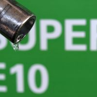 Très peu de biocarburants présentent un bilan écologique global meilleur que l'essence