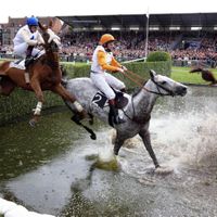 Grand steeple chase à Waregem