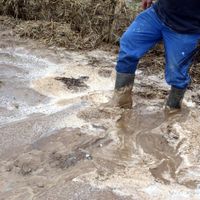Les agriculteurs sont pointés du doigt par les riverains. 