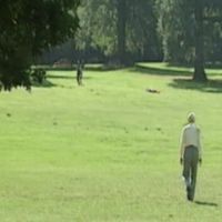 Guy Spitaels: un intellectuel exceptionnel, fidèle et pédagogue