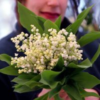 Le 1er mai n'est pas que le jour du muguet. C'est aussi celui des travailleurs et des discours politiques