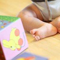 Un quart des enfants nés en Flandre n'a pas le néerlandais comme langue maternelle