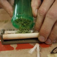 Fumer du cannabis à l'adolescence abîme le cerveau