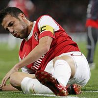 Cesc Fabregas